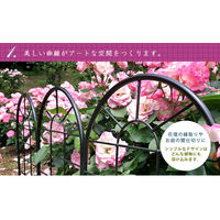 住まいスタイル アイアンフェンス 幅500×高さ2210mm ブラック YBIF-220-4P 1セット（4枚入）（直送品）