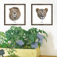 マッチングジャパン フチなし ラミあり フレームステッカー リアル動物『動物_01』 CO-9043-AS 1個(2枚セット)（直送品）