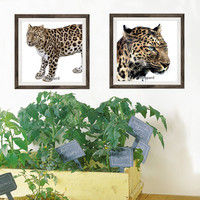 マッチングジャパン フチなし ラミあり フレームステッカー リアル動物『動物_05』 CO-9047-AS 1個(2枚セット)（直送品）