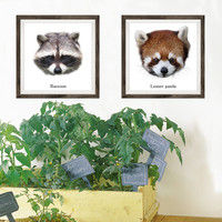 マッチングジャパン フチなし ラミあり フレームステッカー リアル動物『動物_08』 CO-9050-AS 1個(2枚セット)（直送品）