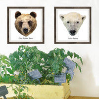 マッチングジャパン フチなし ラミあり フレームステッカー リアル動物『動物_09』 CO-9051-AS 1個(2枚セット)（直送品）