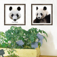 マッチングジャパン フチなし ラミあり フレームステッカー リアル動物『動物_11』 CO-9053-AS 1個(2枚セット)（直送品）