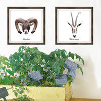 マッチングジャパン フチなし ラミあり フレームステッカー リアル動物『動物_12』 CO-9054-AS 1個(2枚セット)（直送品）