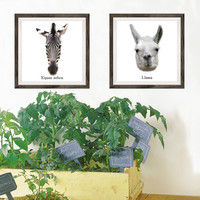 マッチングジャパン フチなし ラミあり フレームステッカー リアル動物『動物_15』 CO-9057-AS 1個(2枚セット)（直送品）