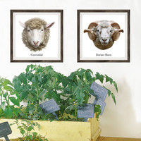 マッチングジャパン フチなし ラミあり フレームステッカー リアル動物『動物_16』 CO-9058-AS 1個(2枚セット)（直送品）