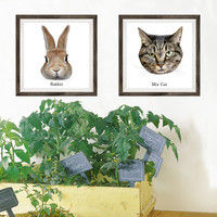 マッチングジャパン フチなし ラミあり フレームステッカー リアル動物『動物_20』 CO-9062-AS 1個(2枚セット)（直送品）