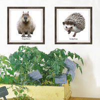 マッチングジャパン フチなし ラミあり フレームステッカー リアル動物『動物_22』 CO-9064-AS 1個(2枚セット)（直送品）