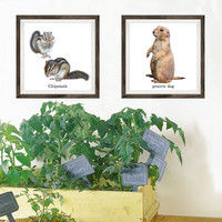 マッチングジャパン フチなし ラミあり フレームステッカー リアル動物『動物_23』 CO-9065-AS 1個(2枚セット)（直送品）