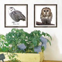 マッチングジャパン フチなし ラミあり フレームステッカー リアル動物『動物_24』 CO-9066-AS 1個(2枚セット)（直送品）