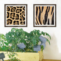 マッチングジャパン フチなし ラミあり フレームステッカー リアル動物『動物_30』 CO-9072-AS 1個(2枚セット)（直送品）