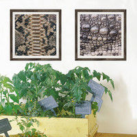 マッチングジャパン フチなし ラミあり フレームステッカー リアル動物『動物_31』 CO-9073-AS 1個(2枚セット)（直送品）