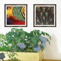 マッチングジャパン フチなし ラミあり フレームステッカー リアル動物『動物_32』 CO-9074-AS 1個(2枚セット)（直送品）