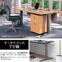 Garage fantoniGT パソコンデスク 幅1400×奥行900×高さ720mm 木目（NF） 1台（直送品）