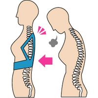 富士パックス販売 姿勢矯正ベルト男女兼用 4985037129688（直送品）