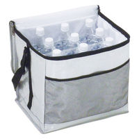 パール金属　キャプテンスタッグ　デリス　ソフト　クーラーバッグ　シルバー　30L　UE-0501　1個