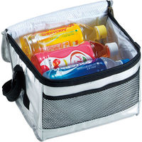 パール金属 キャプテンスタッグ デリス シルバーソフト クーラーバッグ6L M-1850 1個