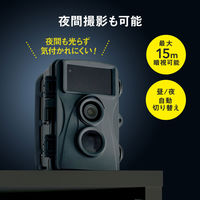 トレイルカメラ　防犯カメラ　動物・獣害対策　屋外　工事不要　乾電池式　CMS-SC01GY　サンワサプライ　1台（直送品）