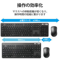 ワイヤレスキーボード マウスセット 無線 テンキーレス コンパクト メンブレン 薄型 TK-FDM109MBK エレコム 1個（直送品）