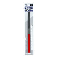 ビッグマン 小細工ヤスリ平100 Y-015 048014（直送品）