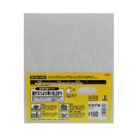 ビッグマン Bigman(ビッグマン) 空研ぎ紙ヤスリ#100 048662 1個