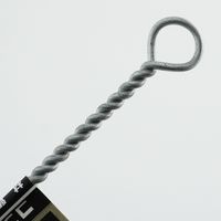 ビッグマン コンデンサーブラシ豚毛 19φ #10 048928 1個