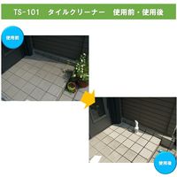 ビアンコジャパン 業務用 タイルクリーナー 4kg ポリ容器入り TS-101 1個