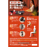 中山式産業 中山式ボディフレーム座り仕事腰用LL 022944 1個