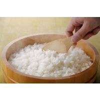 「業務用」 サニーフーズ 雪蔵仕込み氷温熟成 新潟産 米 こしひかり（1kg×10袋入り） HNK-1（直送品）