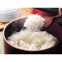 「業務用」 サニーフーズ 雪蔵仕込み氷温熟成 魚沼産 米 こしひかり（2kg×10袋入り） HUK-2（直送品）