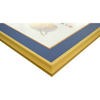 大仙 色紙額 Kー70 マット色:コン K70ND99O1 5枚