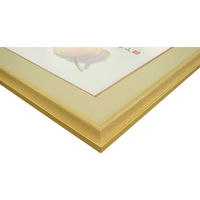 大仙 色紙額 K-70 マット色：ベージュ K70ND99O4