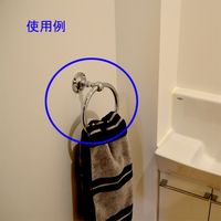 ゴーリキアイランド タオルリング SB CR 640815（直送品）