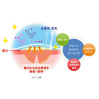 森下仁丹 ハイドロウェットα 防水タイプ Sサイズ 1袋（3枚入）