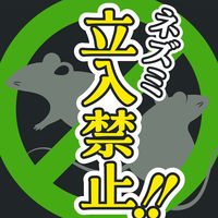 ネズミのみはり番 忌避ゲル ネズミ除け 置き型 鼠 忌避剤 ねずみがいなくなる 寄せ付けない 侵入防止 1セット（3個）アース製薬