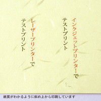 大礼紙 イエロー B5 10セット（200枚：20枚×10）（直送品）