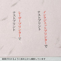 大礼紙 ピンク B5 10セット（200枚：20枚×10）（直送品）