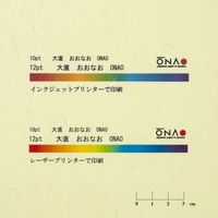 大直 大礼紙 イエロー A4 20枚入 206040402 1セット(200枚:20枚入×10パック)