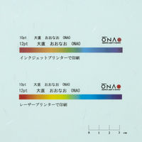 大直 大礼紙 ブルー A4 20枚入 206040403 1セット(200枚:20枚×10個)