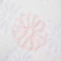 大直 祝花 紅白 A4 10枚入 207000001 10セット(100枚:10枚×10)