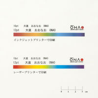 大直 トップシークレットペーパー A4 208600009 1セット(300枚:100枚×3パック)