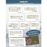 HORIE Corporation 業務用消臭剤 クリンスメル 300g スプレートリガー付 HORIE-CS 6本（直送品）