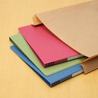 スーパーバッグ サイドマチ付き紙平袋 LL 1袋100枚入【紙袋】