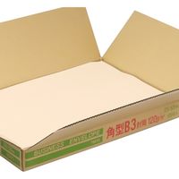 ムトウユニパック 角形B3 大型封筒角型B3 OP(120) 11220120 1箱(100枚入)
