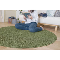 スミノエ スミトロンニューツイスティ 150cm円形 グリーン 4955141372478 1枚