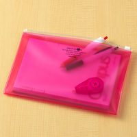 リヒトラブ クリヤーケース A5サイズ 赤 F5302-3