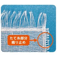 白十字 ケアガーゼ4折 10163 1箱（20袋入）