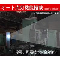 JLT 日本光具 充電式LEDワークライト WR615