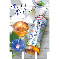 サントリーフーズ 伊右衛門 冷ほうじ茶 500ml 1箱（24本入）