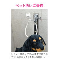 カクダイ ガオナ 共用ペット用双口水栓 いたずら防止 （切替シャワー 共用栓カギ付き） GA-RE007（直送品）