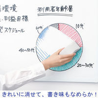 プラス ホーローホワイトボード 行動予定（21人用） 450×900mm WBK-0409HJK 1枚（わけあり品）